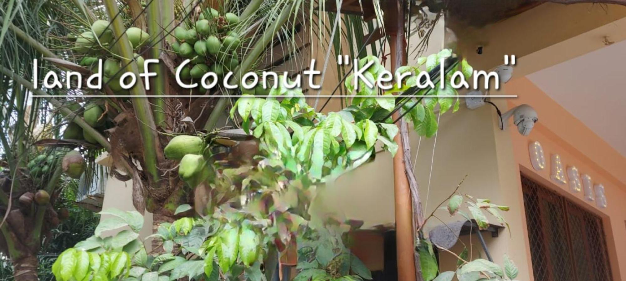 Oasis Homestay Kochi Dış mekan fotoğraf